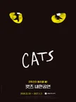 Musical CATS - Daegu thumbnail